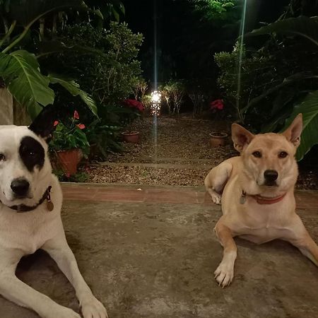 Villa Albizia, Chiang Mai Doi Saket Εξωτερικό φωτογραφία