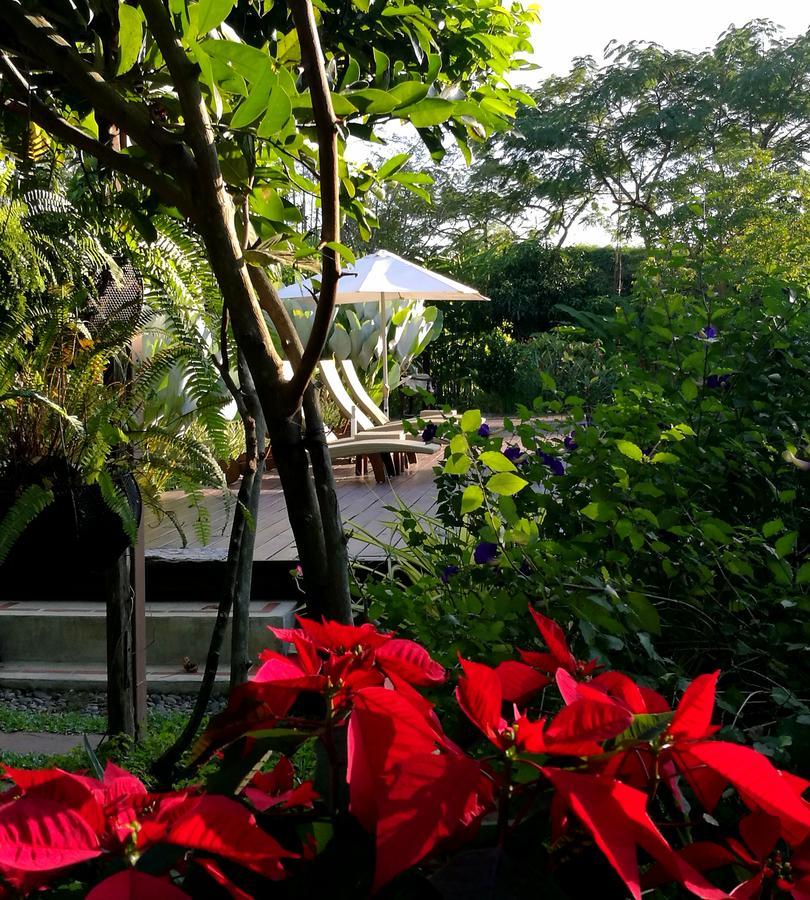 Villa Albizia, Chiang Mai Doi Saket Εξωτερικό φωτογραφία